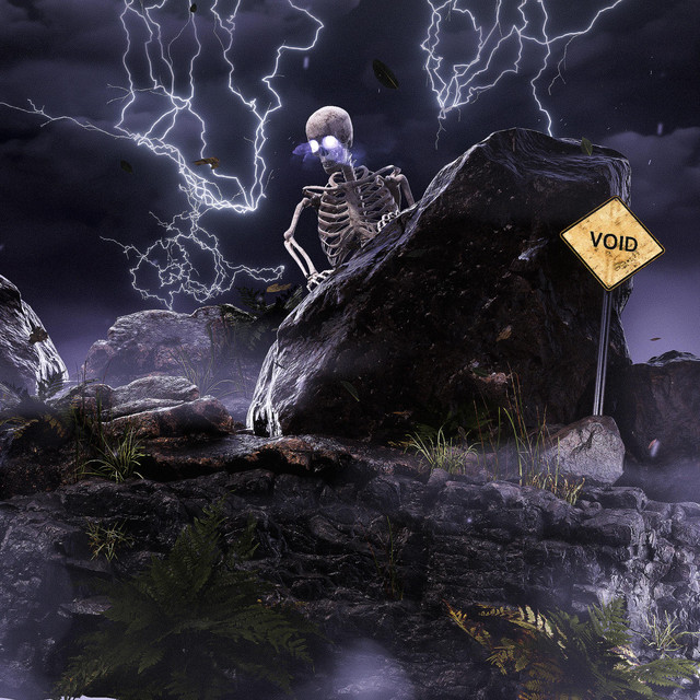 Void cover art