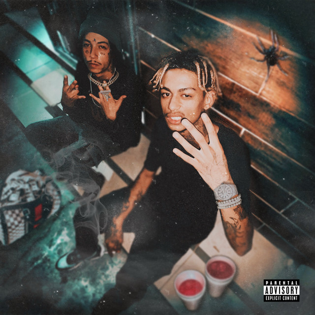 SINAIS DE GANG cover