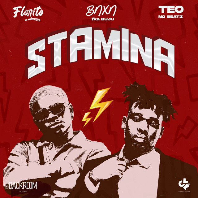 Stamina cover art