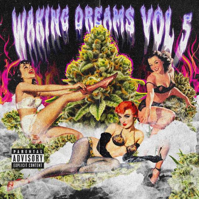 WAKING DREAMS V album image