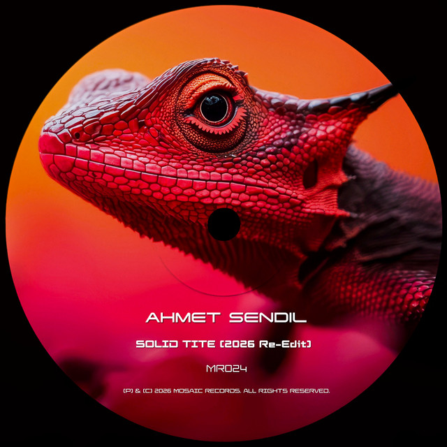 Solid Tite (2026 Re-Edit) cover