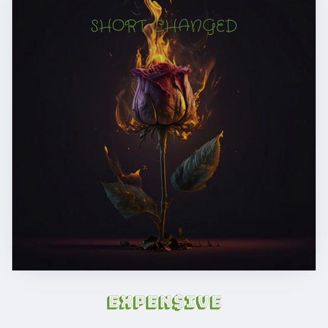 Short Changed cover art