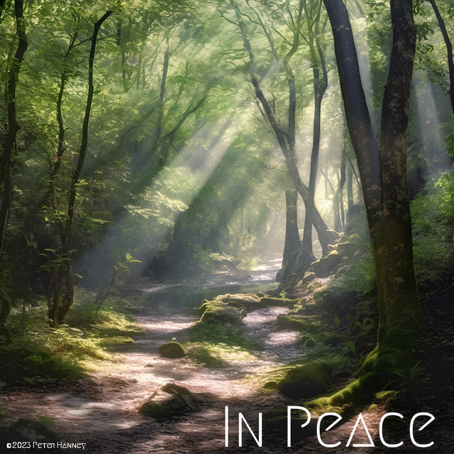 In Peace - 2023 Version - song and lyrics by Peter Hanney | Spotify