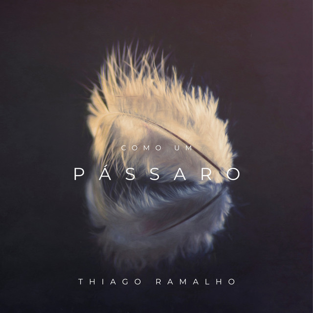Cover of Como um Pássaro by Thiago Ramalho