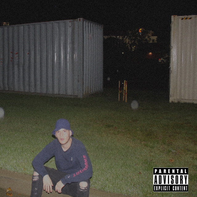 VIBES cover art
