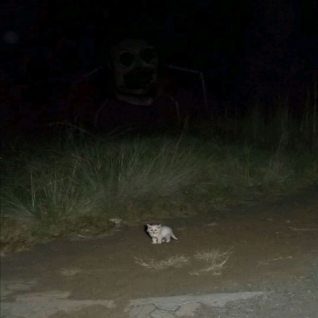 Scary Horror Funk