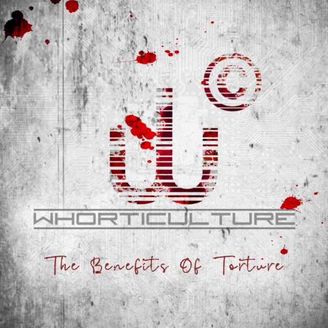 The Benefits of Torture cover
