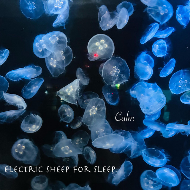 Electric Sheep for Sleep cover art