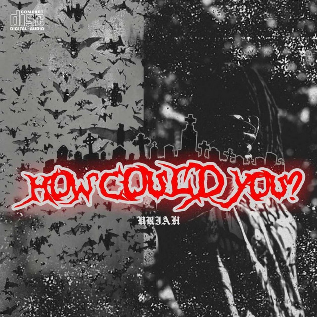 How Could You? cover art