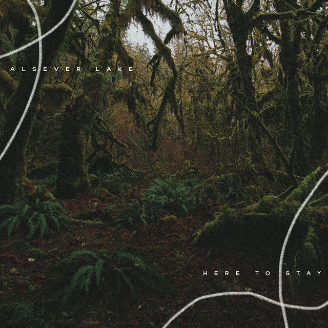 Here To Stay cover art