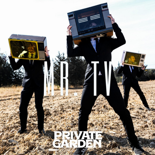 Mr. TV cover