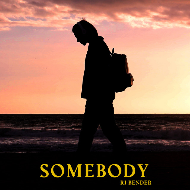 Somebody cover art