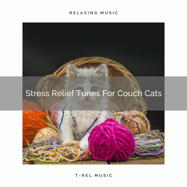 Stress Relief Tunes For Couch Cats cover art