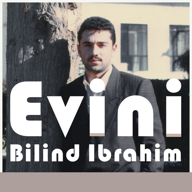 Evini cover art