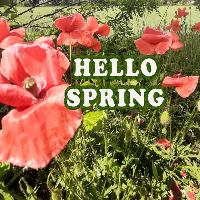 Hello Spring - Compilation by Various Artists | Spotify