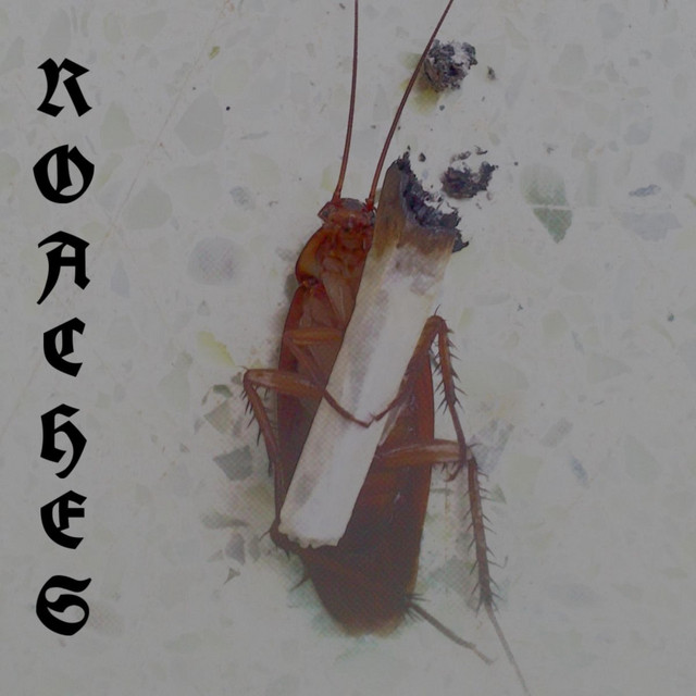 ROACHES cover art
