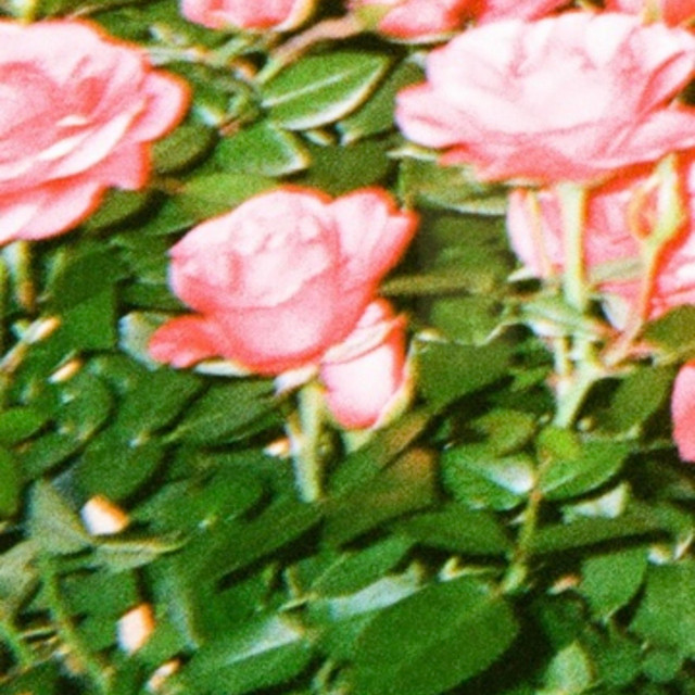 222 cover art
