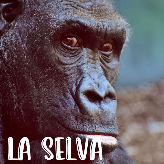 La Selva