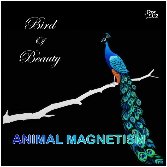 Bird of Beauty cover art