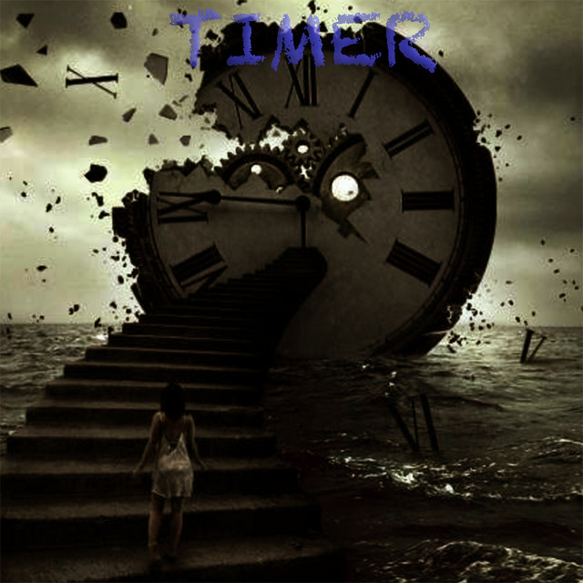 Timer cover
