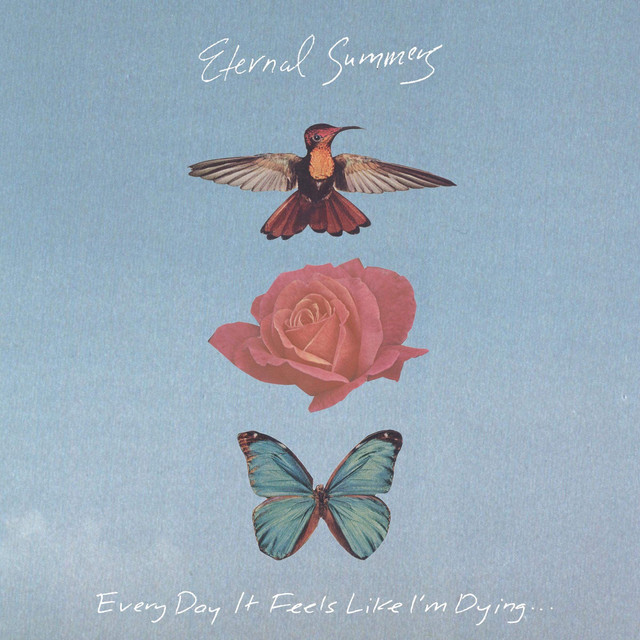 Every Day It Feels Like I'm Dying... cover art