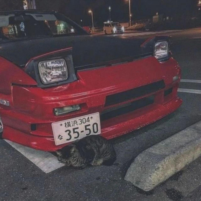 Cover art: Kitty Kitty — PHONK ジ AROUND