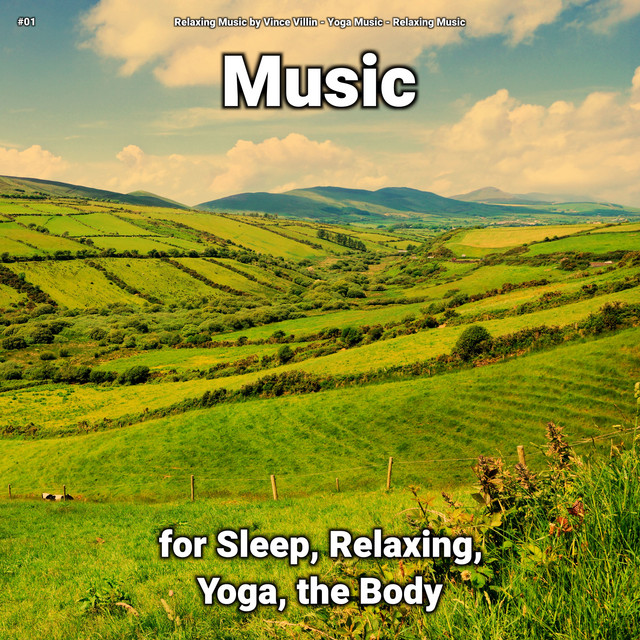Relaxing Music by Vince Villin