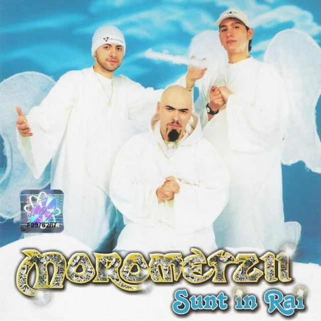 Sunt In Rai cover
