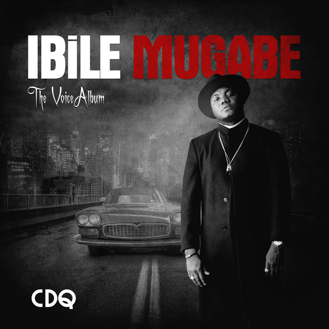 Ibile Mugabe cover art