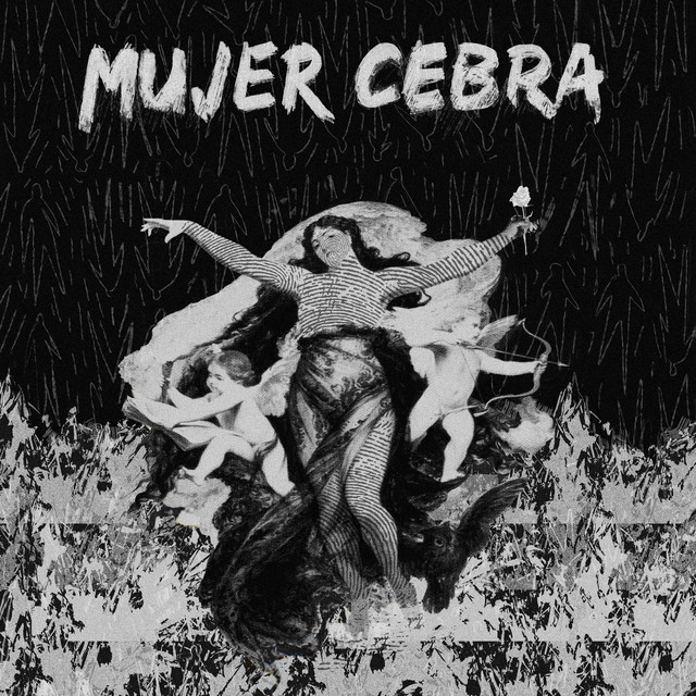 Mujer Cebra cover art