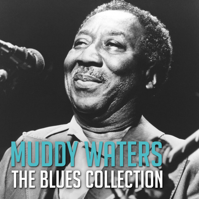 マディ・ウォーターズのアルバム - The Blues Collection: Muddy