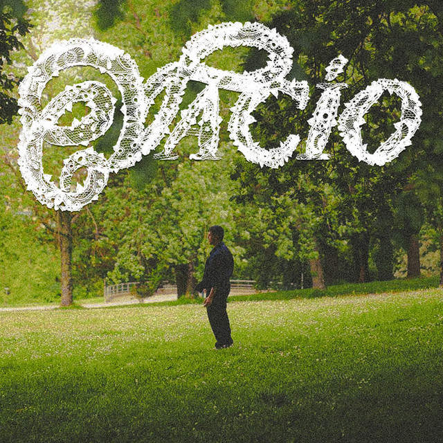 Vacío cover art