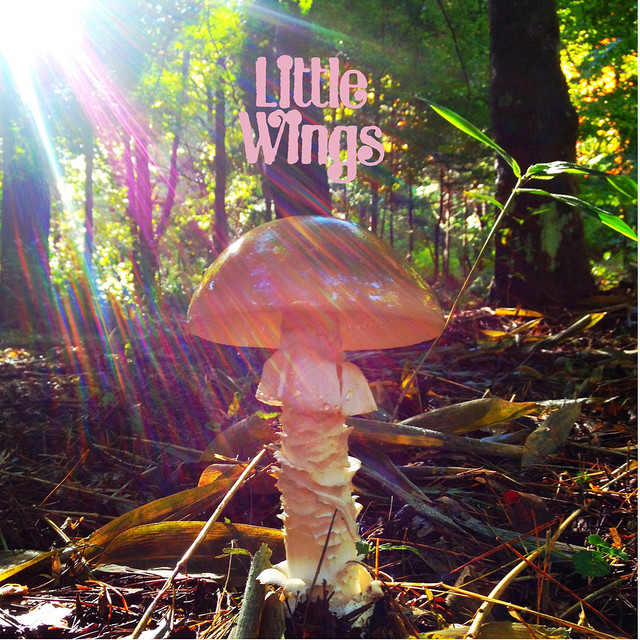 Last cover art