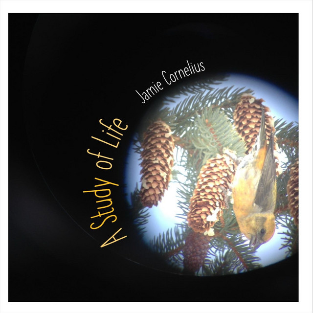 A Study of Life cover art