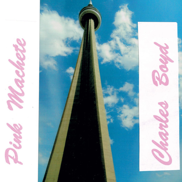 Pink Machete cover art