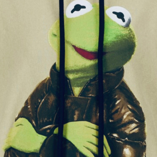 PEPE LORE SONG