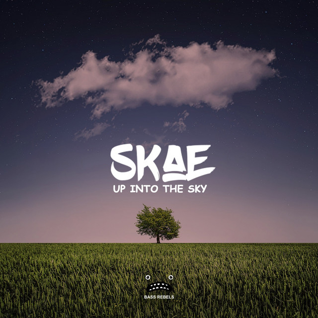 Up Into The Sky cover