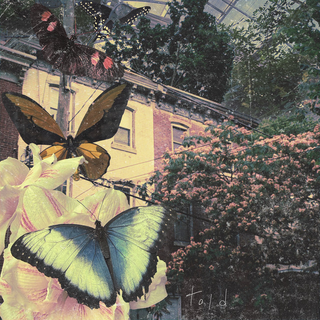 told cover art
