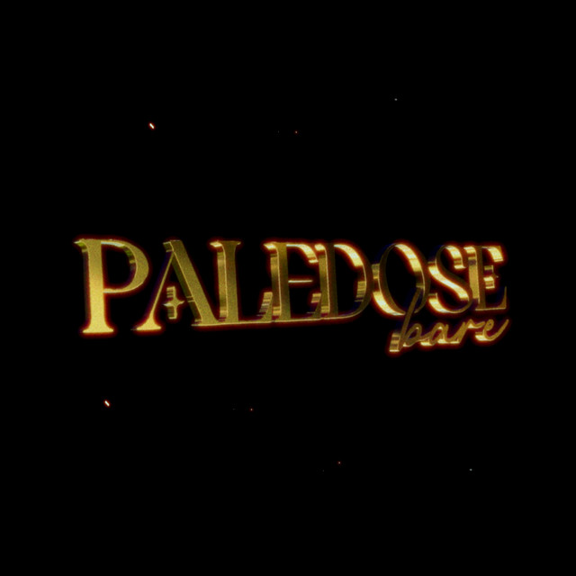 PALEDOSE cover art