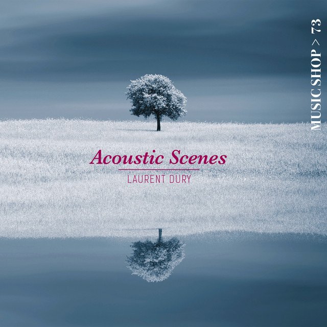 Acoustic Scenes cover art