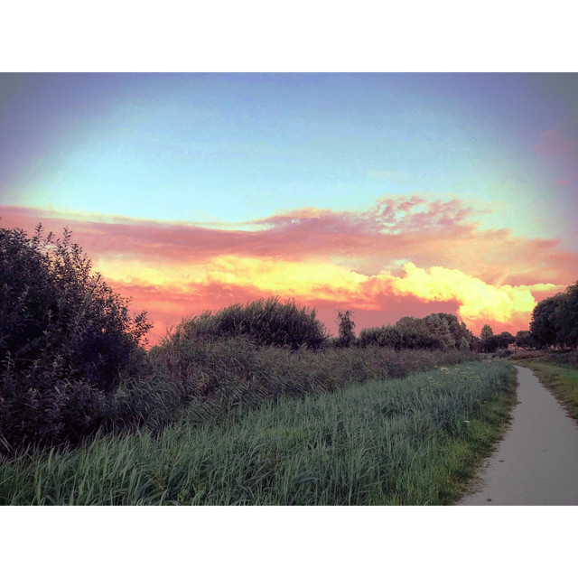 Ambient Dub Shoegaze cover art