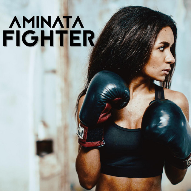 Fighter cover art
