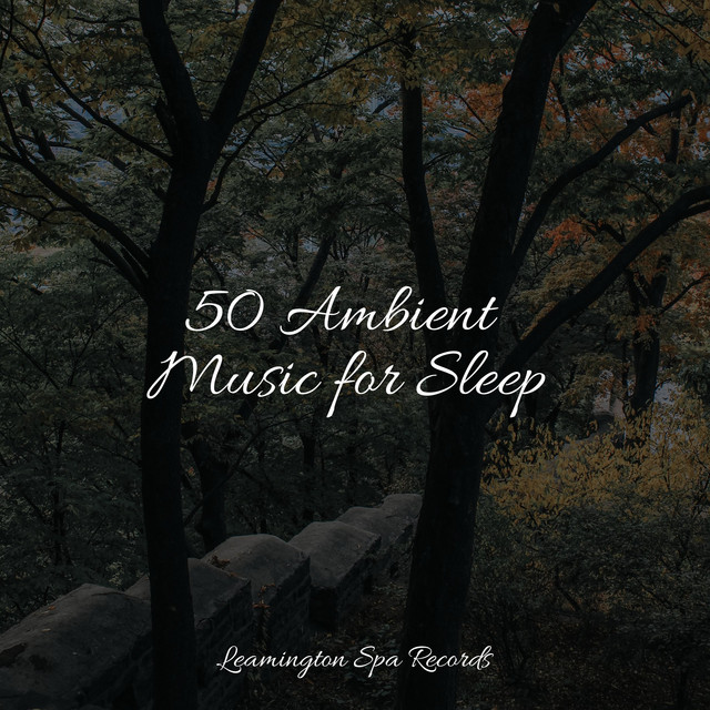 50 Ambient Music for Sleep - Album by Restless Baby Music | Spotify