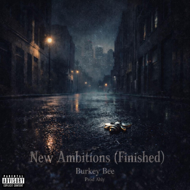 New Ambitions (Finished) cover