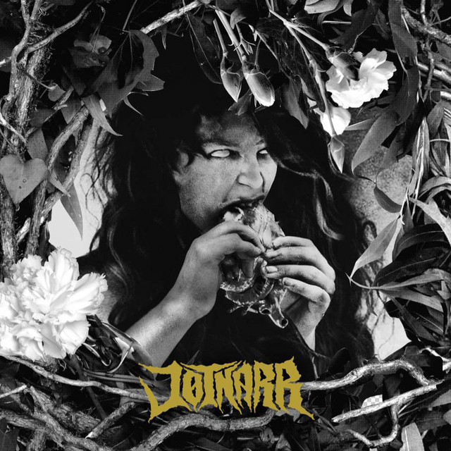 Jotnarr album image