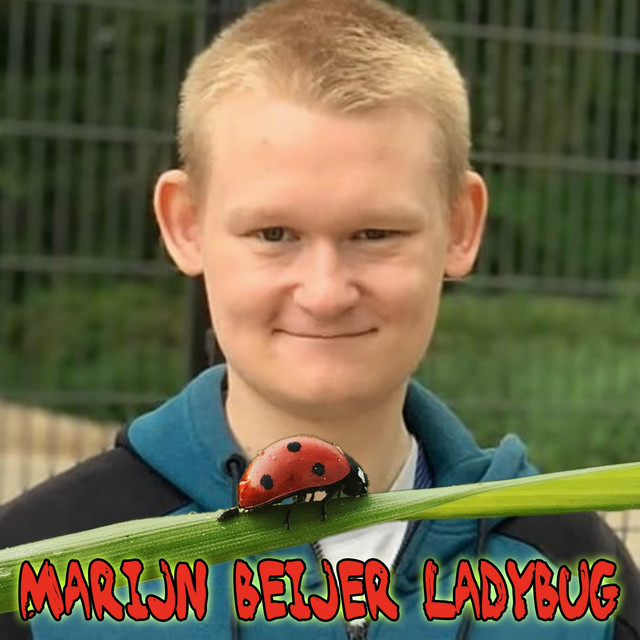 Ladybug cover art