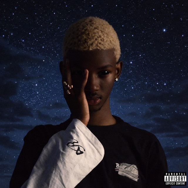 Misfit (deluxe) cover art