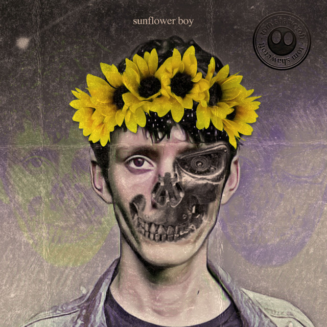 Sunflower Boy (Deluxe) cover art