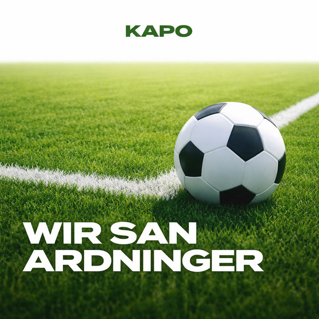 WIR SAN ARDNINGER cover