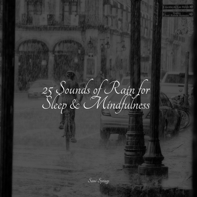 25 Sounds of Rain for Sleep & Mindfulness - Album by Calming Sounds ...